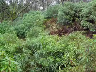 Leckie Broch