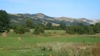 Resculum