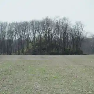 W. C. Clemmons Mound