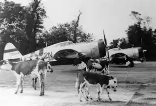 Carentan Airfield