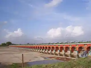 Ajwa