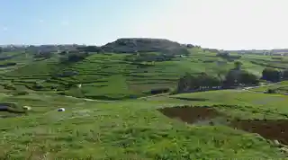 Nuffara