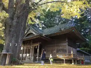 Kotonomama Hachiman-gū事任八幡宮