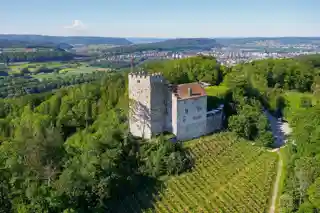 Habsburg Castle