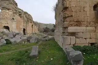 Anazarbus