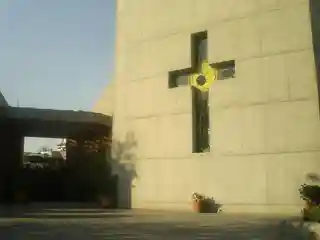 Sacred Heart of Jesus Cathedral