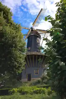 De Windhond