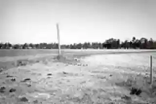 Coker Experimental Farms