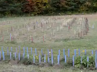 Caughnawaga Indian Village Site