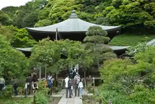 Kinbyōzan Zuisen-ji