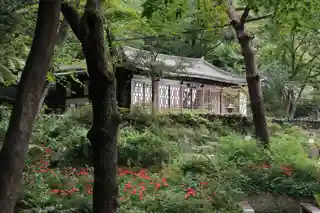 Gilsangsa