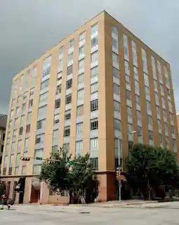 Brown Building