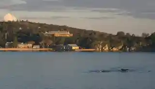 North Head Quarantine Station