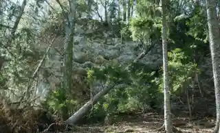 Burgruine Ras