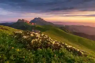 Western Caucasus