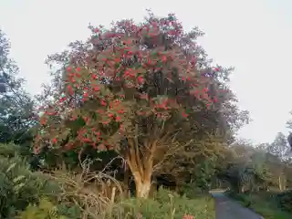 Cloghanecarhan