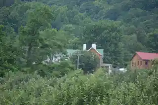 Bowman Farm
