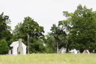 Dr. Walter Brice House and Office