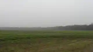 Hubele Mounds and Village Site
