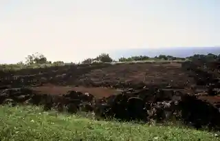 Puʻu o Mahuka Heiau