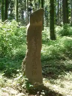 Ōtoriiyama ruins 大鳥井山遺跡