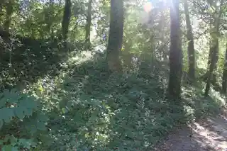 Fort Boykin Archaeological Site (44IW20)