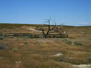 Oregon Trail, Wells Springs Segment