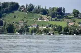Rapperswil-Jona/Hombrechtikon–Feldbach