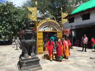 Bhadrakali Temple
