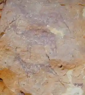 Cuevas de la Araña