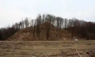 Bisenė
