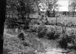 Rattlesnake Springs