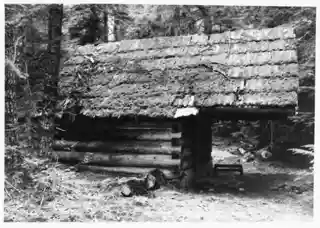 Swamp–Meadow Cabin (east)