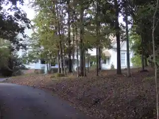 Devereux--Coleman House