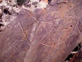 Prehistoric Rock Art Sites in the Côa Valley and Siega Verde