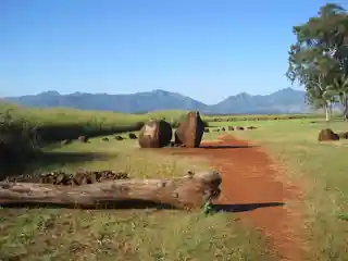 Kūkaniloko Birth Site