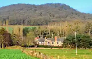 Brinsop Court