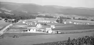 Tygart Valley Homesteads Historic District