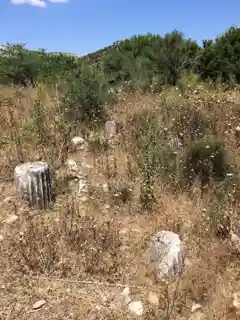 Bargylia