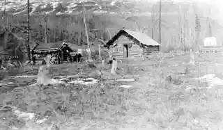 Yukon Telegraph Trail