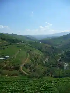 Douro DOC