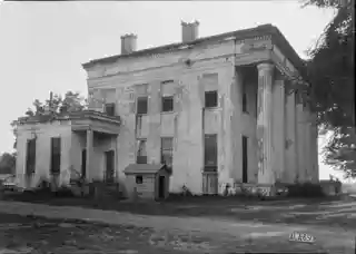 Stone Plantation