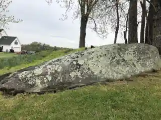 Octonia Stone