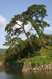 Shikano Castle
