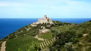 Fort Saint-Elme