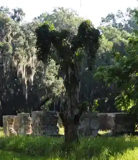 White Hall Plantation House Ruins and Oak Avenue