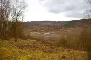 Messel pit