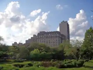 Belden Stratford