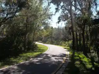 Upper Tampa Bay Archeological District