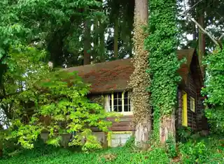 Doriot–Rider Log House